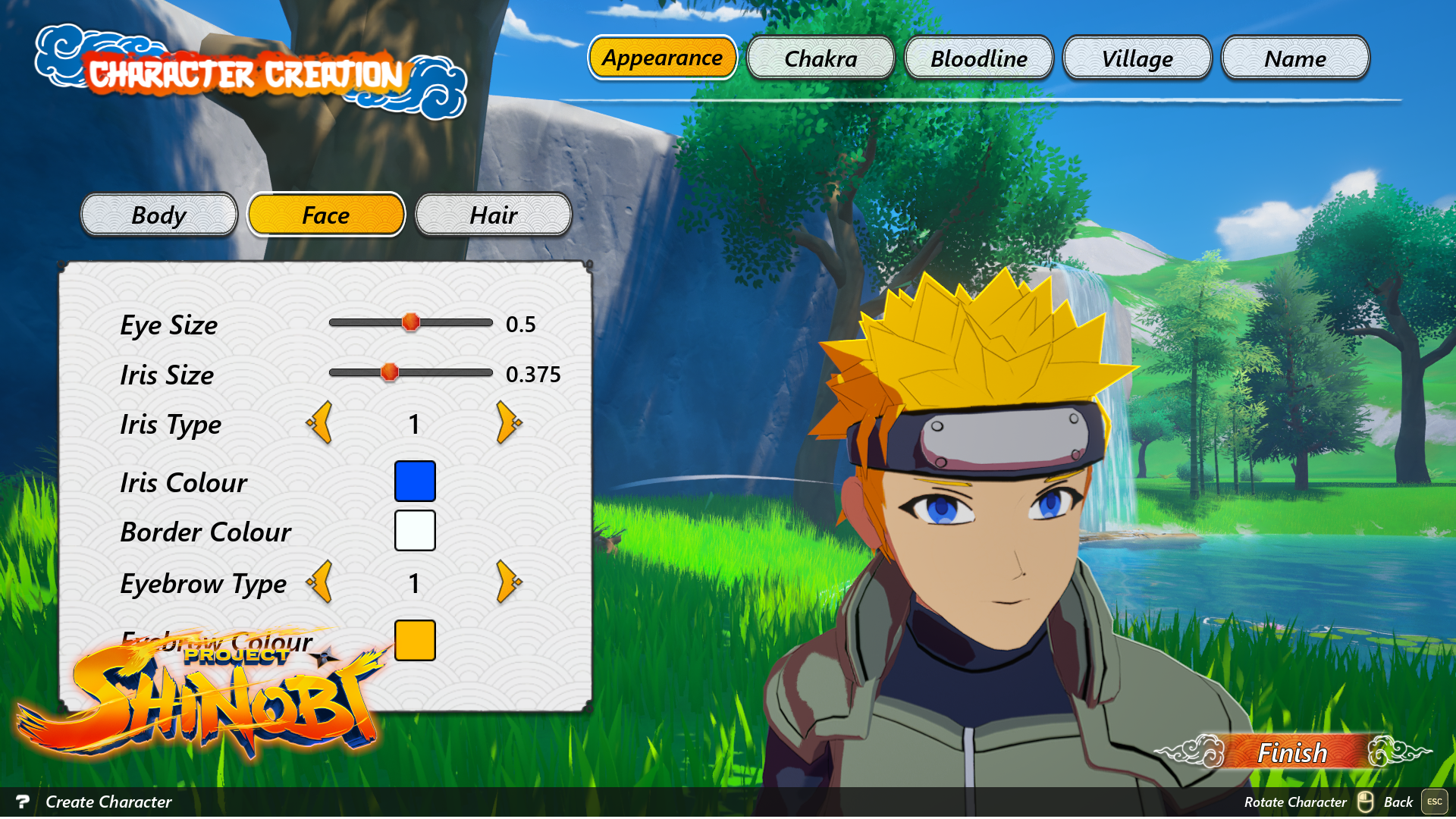 Character Creation Face